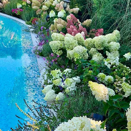 Otel эко прованс