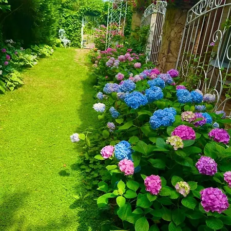 эко прованс Odessza