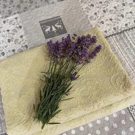 эко прованс * Odessza