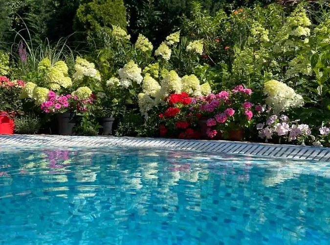 Otel эко прованс