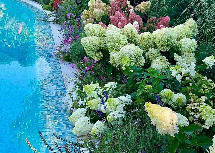 Otel эко прованс