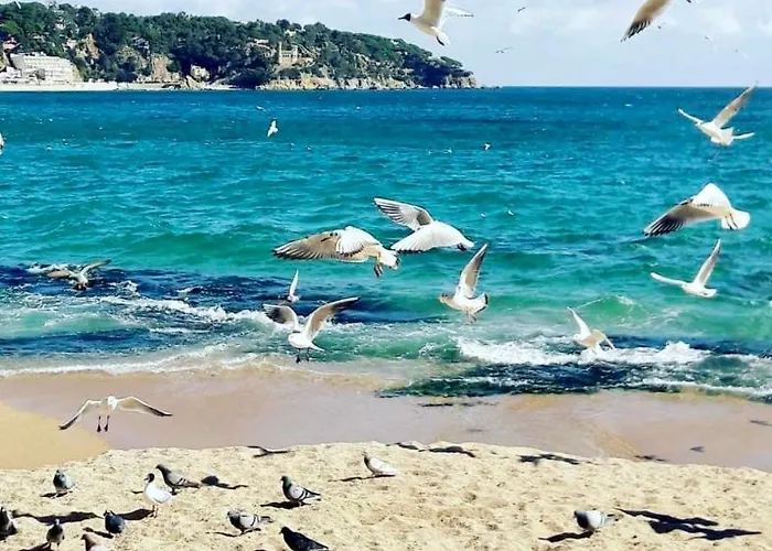 эко прованс Hotel *